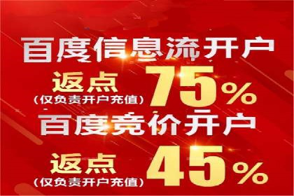 SEM运营公司经典案例点评